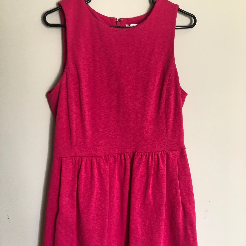 J. Crew Dress